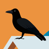 Bird Crowdfunders Box